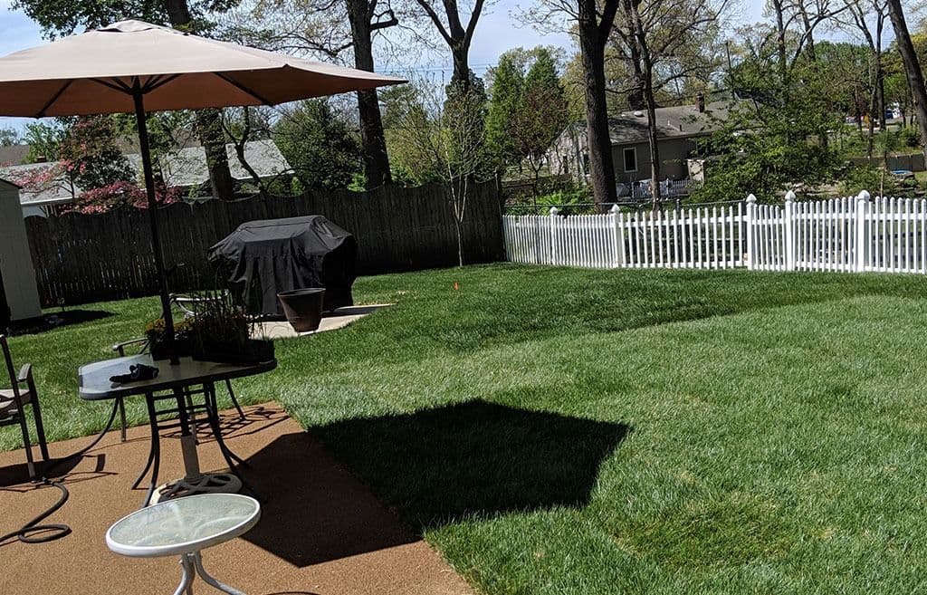 Sod & Landscaping project 2